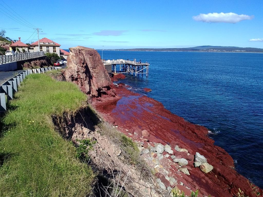 Como Lodge Меримбула Екстериор снимка